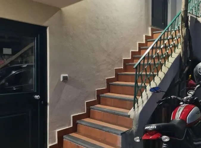 Nanninella Hh Sorrento